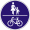 Schild Getrennter Fuß- und Radweg