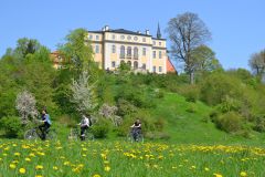 Schloss Ettersburg